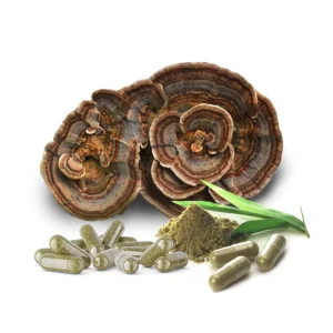 Vegan & Gluten Free Turkey Tail Mushroom Extract Powder Coriolus Versicolor for Adults