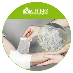 Vegetal Chitosan Power Hemostasis Dressing for Wound Repairing Treatments