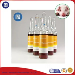 Veterinary Radix Isatidis Injection for Antibacterial Antiviral and Immune Regulation
