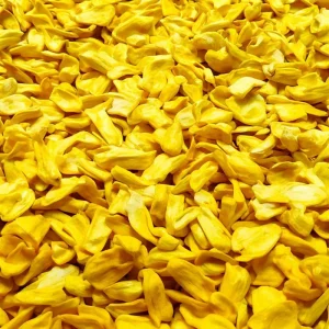 Vf Dried Crispy Jackfruit All Natural Deliciously Crunchy Snack