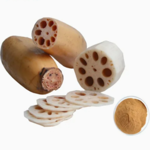 Vitamin Health Food Natural Herb Lotus Root Extract