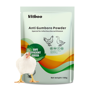 Vitboo Anti Gumboro Powder Poultry Bursa Fabricius Chicken Bursitis Medicine Herbs