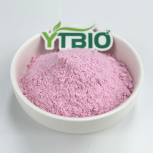 Watermelon Fruit Juice Powder Food Grade for Baking and Beverages
