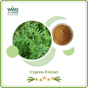 Well Being Factory Dirtect Supply 100 Percent Natural Resurrection Grass Traditional Chinese Medicine Skincare Mmasks 10 1 Cypress Extract