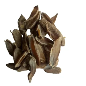 Wen Yu Jin Traditional Chinese Herb Dried Radix Curcumae