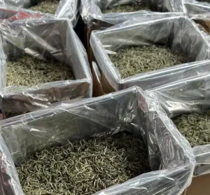 White Peony White Tea Raw Material Supplier Factory