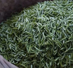 White Tea Chinese Tea