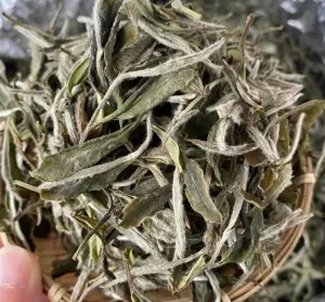 White Tea in Bulk