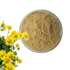 Wild Chrysanthemun Flower Extract Powder Chrysanthemum Indicum Extract Powder