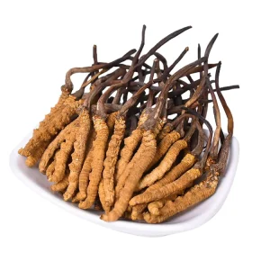 Wild Herbal Cordyceps Sinensis Norland Teins Cordyceps Militaris Hong Sec