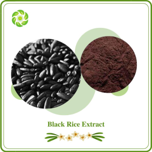 World Well Being Biotech Natural Black Rice Extract with 5% 25% Anthocyanidins 10% 25% Anthocyanins 20% Cyanidin 3 Glucoside for Supplement