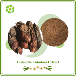 World Well Being Biotech Natural Cistanche Tubulosa Extract with 10% 40% Polyphenols10% 30% Echinacoside 2% 10% 50% 98% Verbascoside for Supplement
