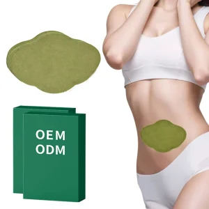 Wormwood Belly Slimming Patch Herbal Weight Loss Solution Belly Fat Reduction Detox Metabolism Boost For A Flat Stomach