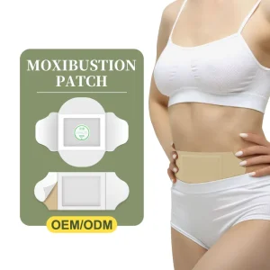 Wormwood Plaster Skin Color Transdermal Pain Patches ODM OEM Chinese Herb Patch