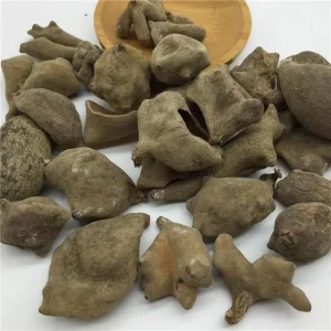 Wu Bei Zi Galla Chinensis Herbal Plants Chinese High Quality Rhus chinensis Mill Herbs Wu Bei Zi Insect Gall Herbs