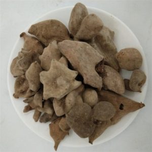Wu Bei Zi Herbal Medicine Chinese Gallnuts Dried Rhus Chinensis Mill Fruit for Cough