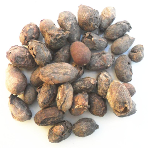 Wu Mo Guo Chinese Herbal Medicine Dried Syzygium Cumini Fruit for Health Benefits