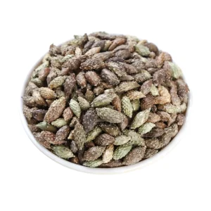 Xanthii Fructus Herbal Medicine Natural Dried Cocklebur Fruit for Health Care