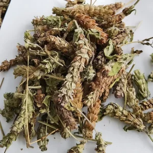 Xia Ku Cao Clearing Heating Chinese Herbs Common Selfheal Fruit spike for Sale