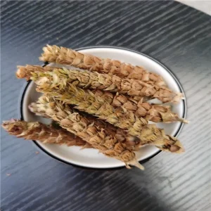Xia Ku Cao Prunella Vulgaris Chinese Herbal Plant Cluster High Quality Prunellae Spica Clusters Health Foods for Drinking Tea