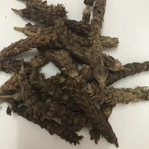 Xia Ku Qiu Dried Wild Spica Prunellae