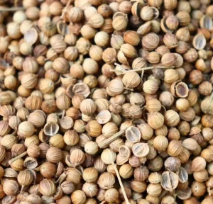 Xiang Cai Zi Coriander Seed High Quality Chinese Herbs Coriander Seed for Diet Spices Traditional Herbal Seasoning