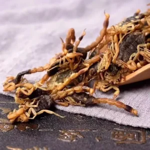 Xie Zi Scorpion Dry Quan Xie Chinese Herbal Materials High Quality Traditional Animal for Birds Foods Health Pets Snack Scorpion