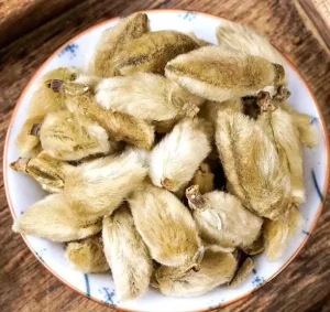 Xin Yi Magnoliae Flos Chinese Herbal Products Hot Selling Magnolia Flower Bud High Quality Chinese Herbs Diet Spices