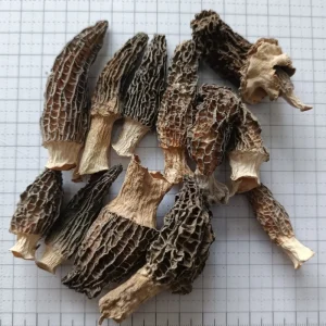 Xizang Style Morel Mushrooms High Mountain Dried Morel Mushrooms