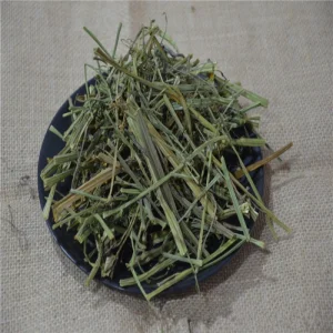 Ya Zui Hua 100% Natural Herbs Adhatoda Vasica Dried Malabar Nut Herba For Medicine