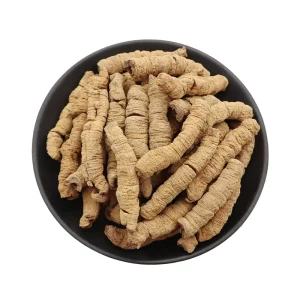 Yan Ba Ji Tian High Quality Chinese Materials Salt Euphorbia Variety Complete