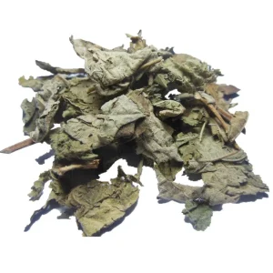 Yao Shu Kui Ye Althea High Quality Folia Althaeae Marshmallow Leaf