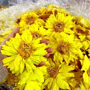 Yellow Lotus Organic Egyptian Nymphaea Caerulea Aphrodisiac Dried Flowers Herb for Smoking Pre Roll Holistic Wellness Tea