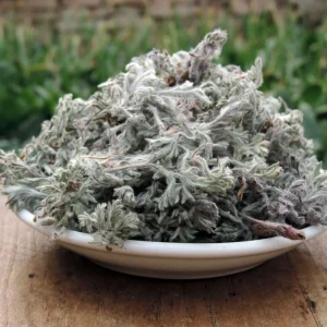Yin Chen Chinese Herbal Dried Sweet Wormwood Herbs Artemisia Capillaris for Medicine Use