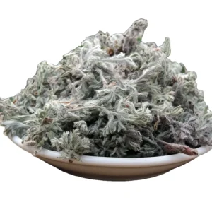 Yin Chen Chinese Natural Dry Herba Artemisiae Scopariae Virgate Wormwood