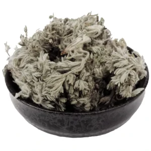 Yin Chen Hao Bulk Dry Artemisia Capillaris Wormwood Leaf Herb Loose Fresh Chinese Herbs for Health Tea Sachets Box