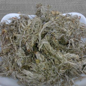 Yin Chen Traditional Chinese Herbal Medicine Dried Artemisiae Scopariae Herba