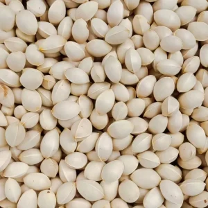 Yin Xing Guo Dried Ginkgo Seed Chinese Herb Ginkgo Nut