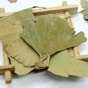Yin Xing Ye Chinese Natural Herb Dried Ginkgo Biloba Leaf