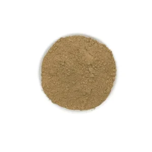 Yin Xing Ye Chinese Natural Herb, Dried Ginkgo Biloba Leaf Powder
