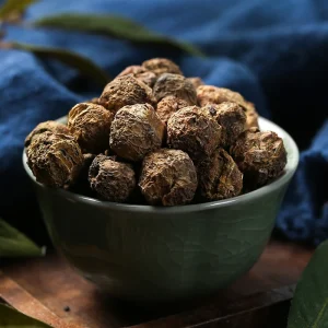 Yu GaN Zi Chinese Herb Medicine Dried Fruit Emblic Leafflower Fruit for Health