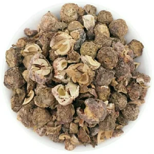 Yu Gan Zi Phyllanthus Emblica Dry Fruits Chinese Herbal Seeds PhyllanthiFructus High Quality Foods Health Products for Blood