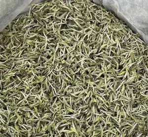 Yunnan Large Leaf Spring Tea Ancient Tree White Tea