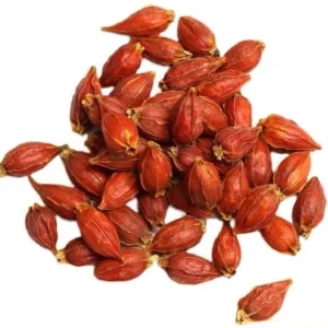 Zhi Zi Chinese Herb Medicine Dried Gardenia Fruit