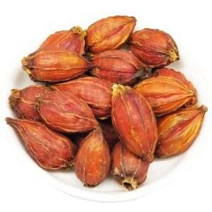 Zhi Zi Medicinal Herb Gardenoside Red Dried Fructus Gardeniae Flower Tea for Health Care