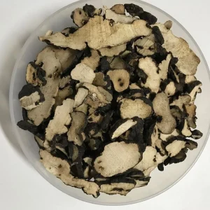 Zhuling Traditional Chinese Herb Medicine Agaric Polyporus