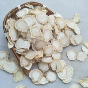 xi yang shen Supply Natural Herb Medicine American Ginseng for Health